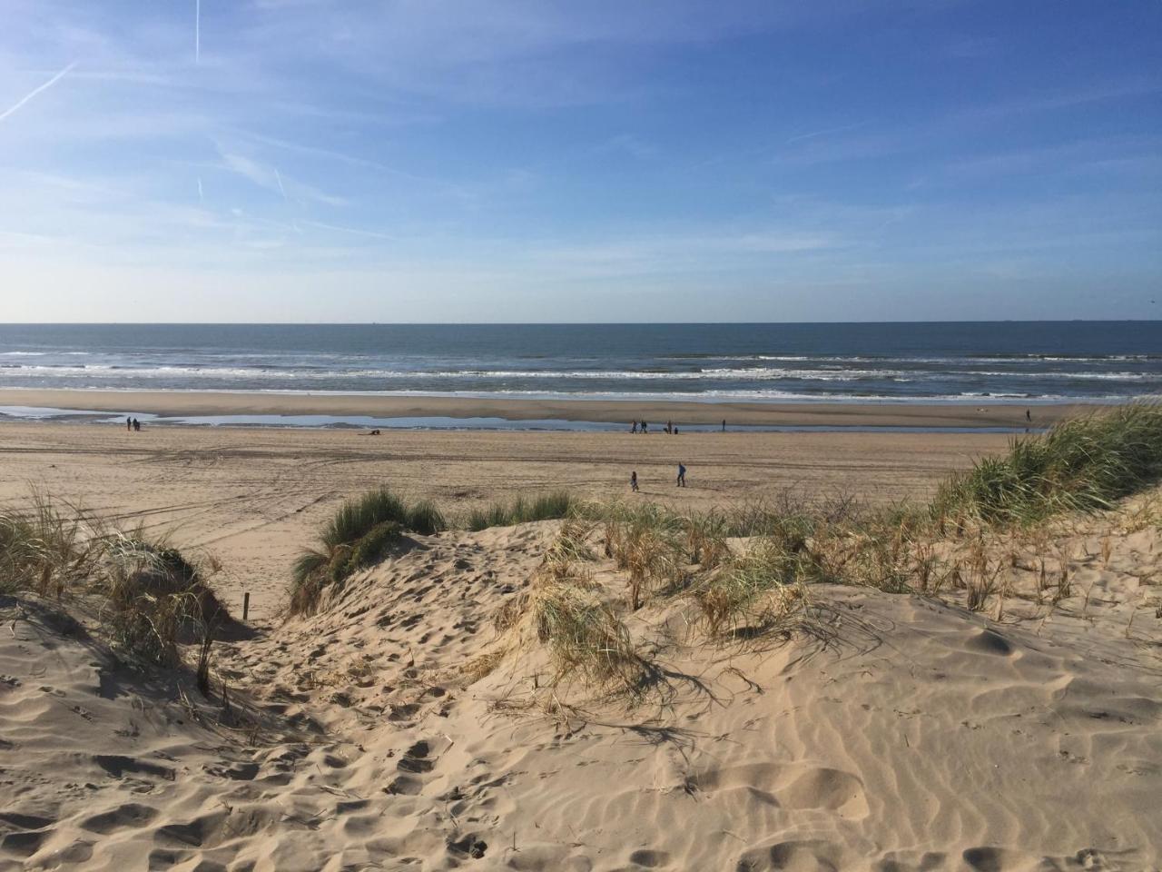 Duynsandt Zandvoort Eksteriør bilde